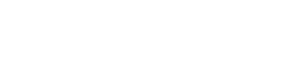 Association for the Advancement of Artificial Intelligence (AAAI).
is the premier scientific society  dedicated to advancing the scientific understanding of AI